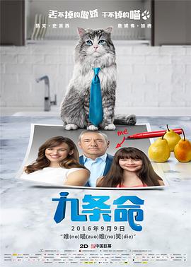 美女视频黄免费的