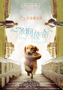 桃子视频在线直播高清观看