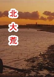 富婆的秘密免费观看电视剧剧情介绍