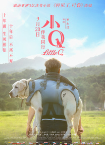 免费成年人在线观看视频