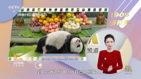 性盈盈网